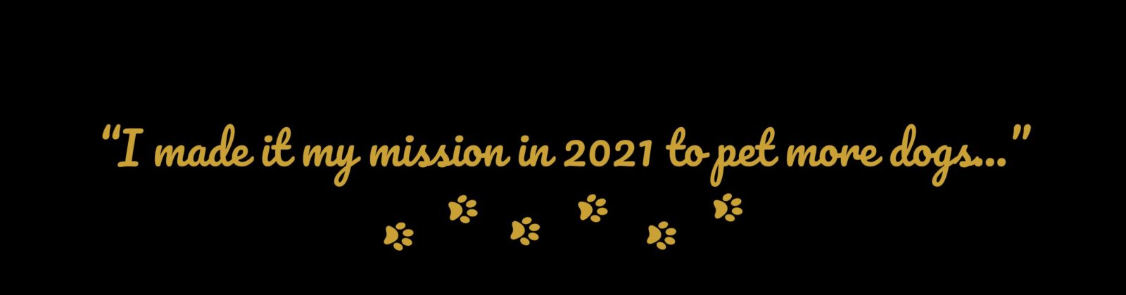 “I made it my mission in 2021 to pet more dogs...”